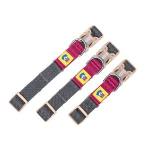 Collar + correa Color Block Fuchsia