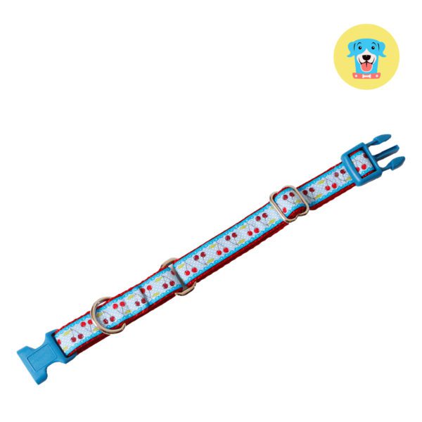 Collar Cherry Dog